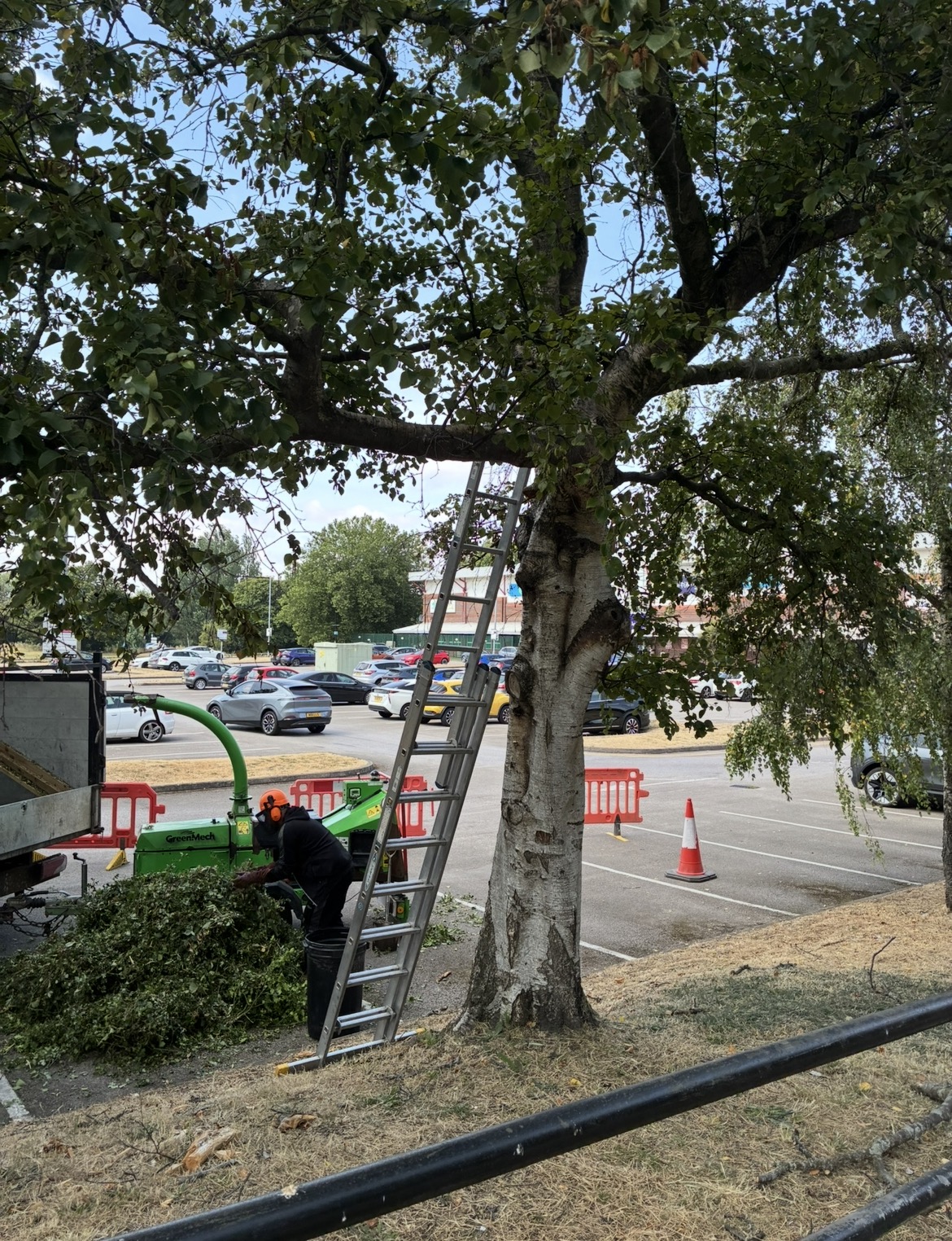Commercial grounds maintenance and outdoor property work by DC Tree Care