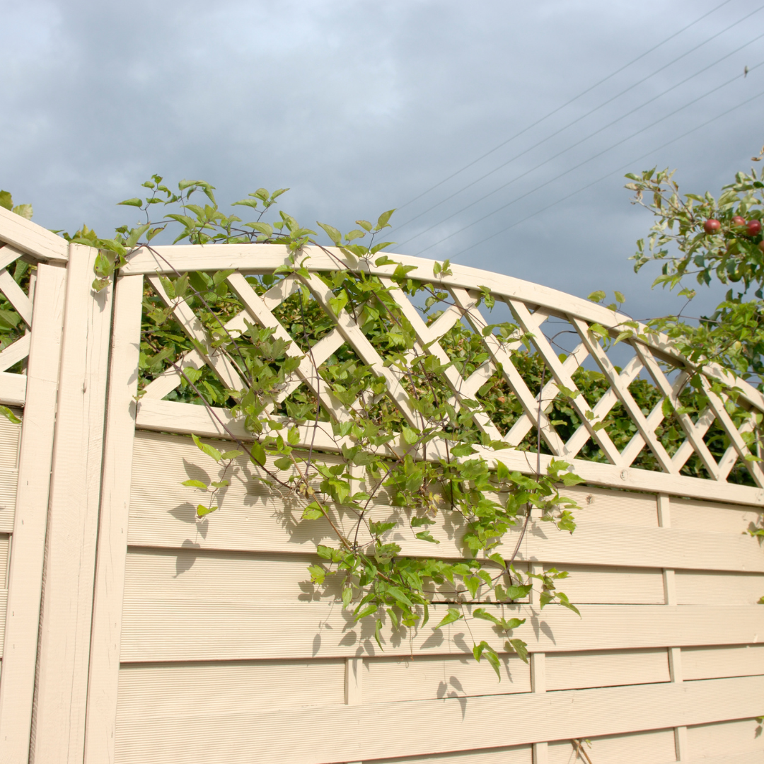 New fencing installed by DC Tree Care